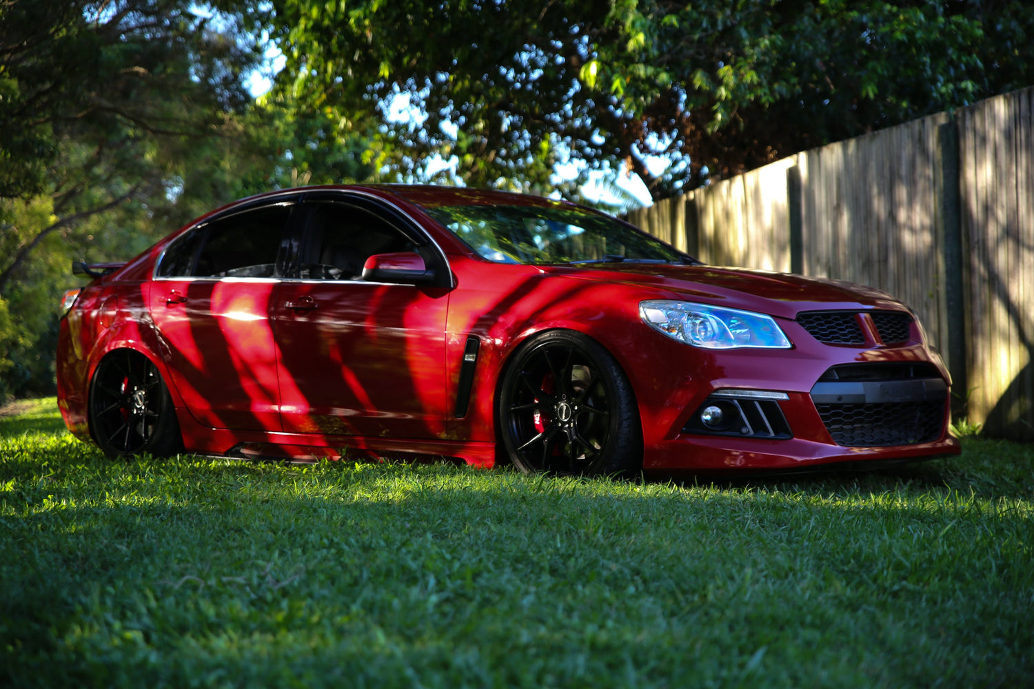 Holden- Commodore/HSV