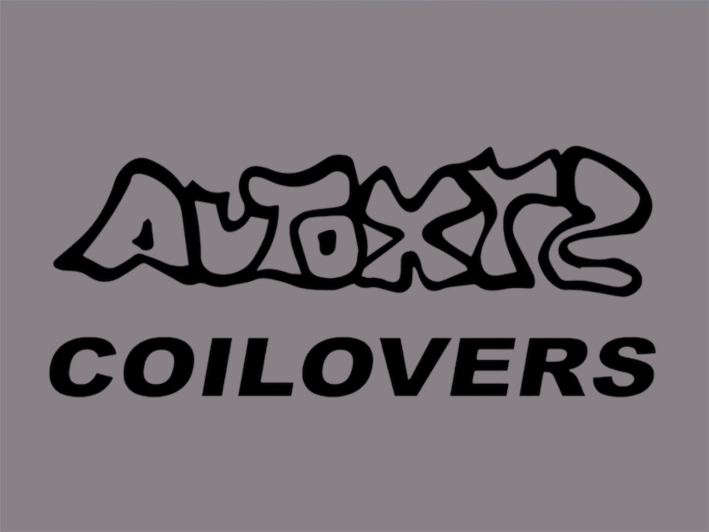 HOLDEN COMMODORE VE 2006-2013 XYZ Racing Race Spec Coilovers