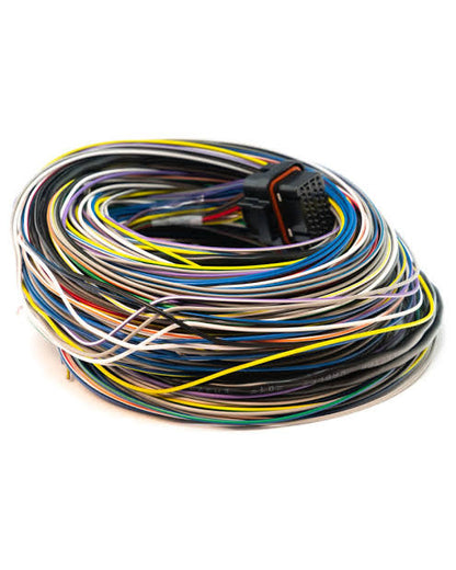 Link Loom B G4 - 5mtr - Secondary