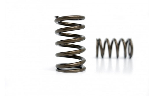 Kelford Cams High Performance Valve Spring Set (EJ20/25)